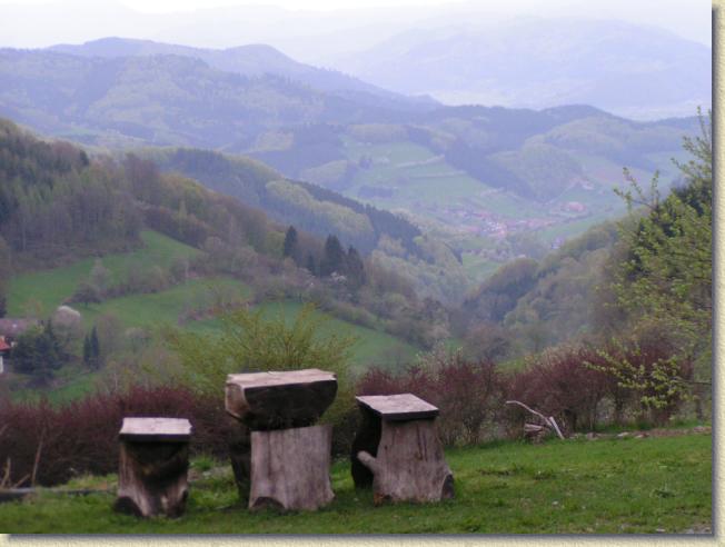 Nächstes Bild